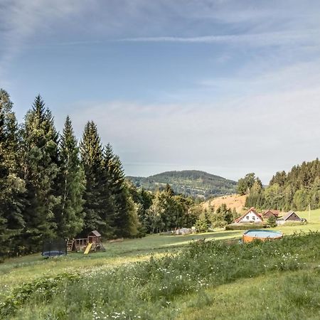 Ski, hike&bike apartmán Rokytnice nad Jizerou Kültér fotó